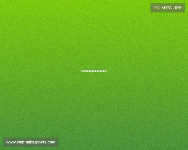 马刺队全队表现完美，击败实力对手